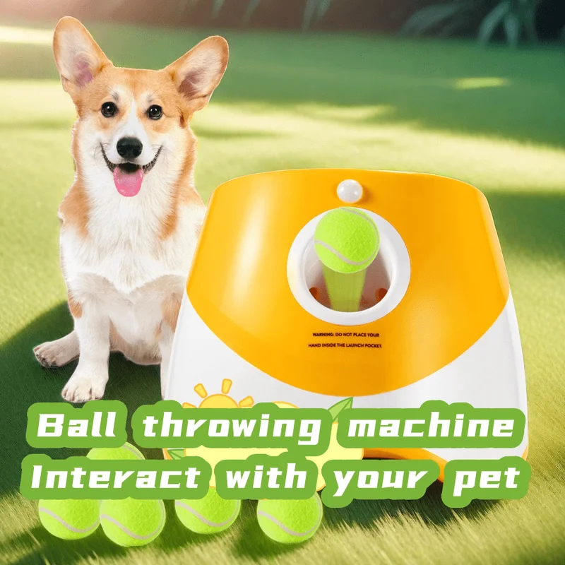 Dog Launcher Automatic Dogs Ch - Catapult Launcher Toy ulasan dan harga