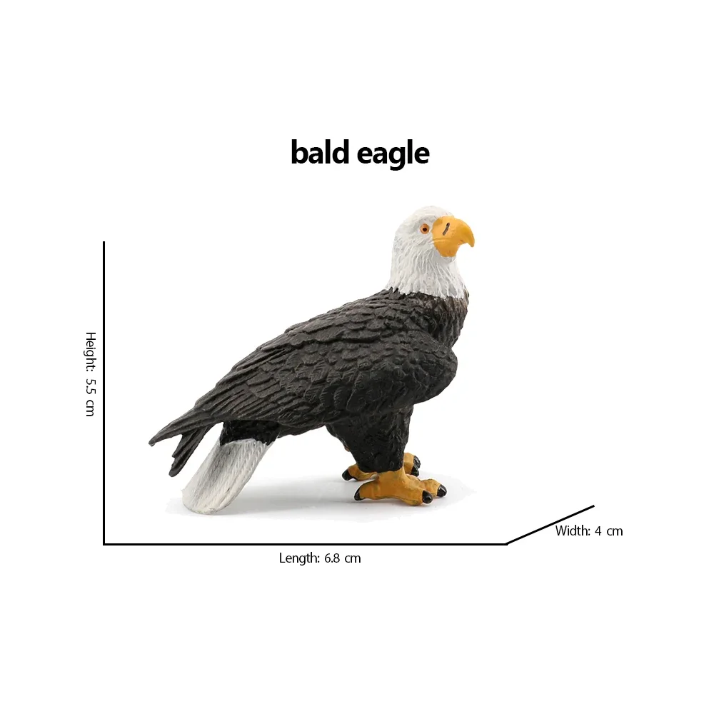 Bald Eagle pelican Tucan Turke - Kids Toys Under 200 ulasan dan harga
